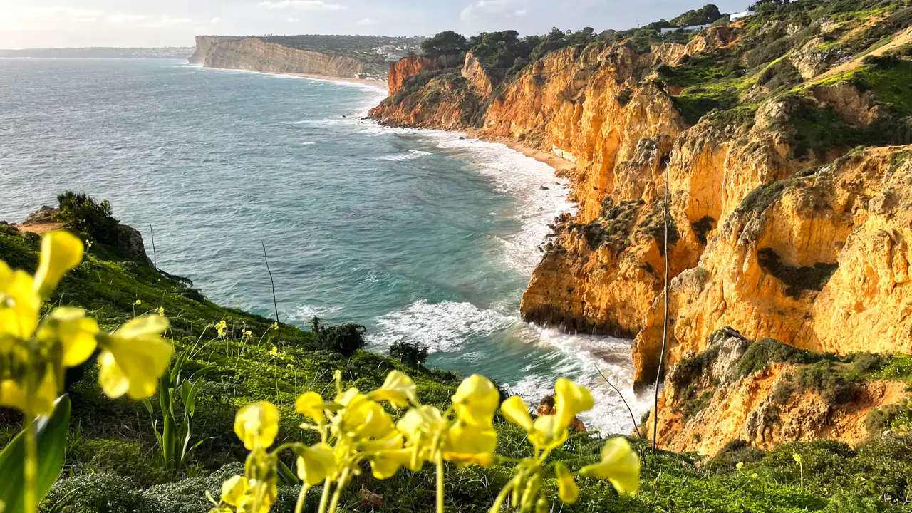Steilküste der Algarve mit goldenen Felsen und türkisfarbenem Wasser, im Vordergrund blühende Wiese.